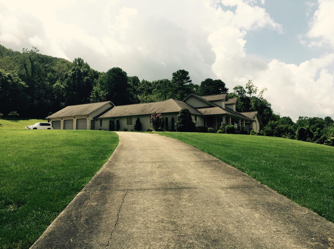 Buffalo Mountain Park-约翰逊城必去景点