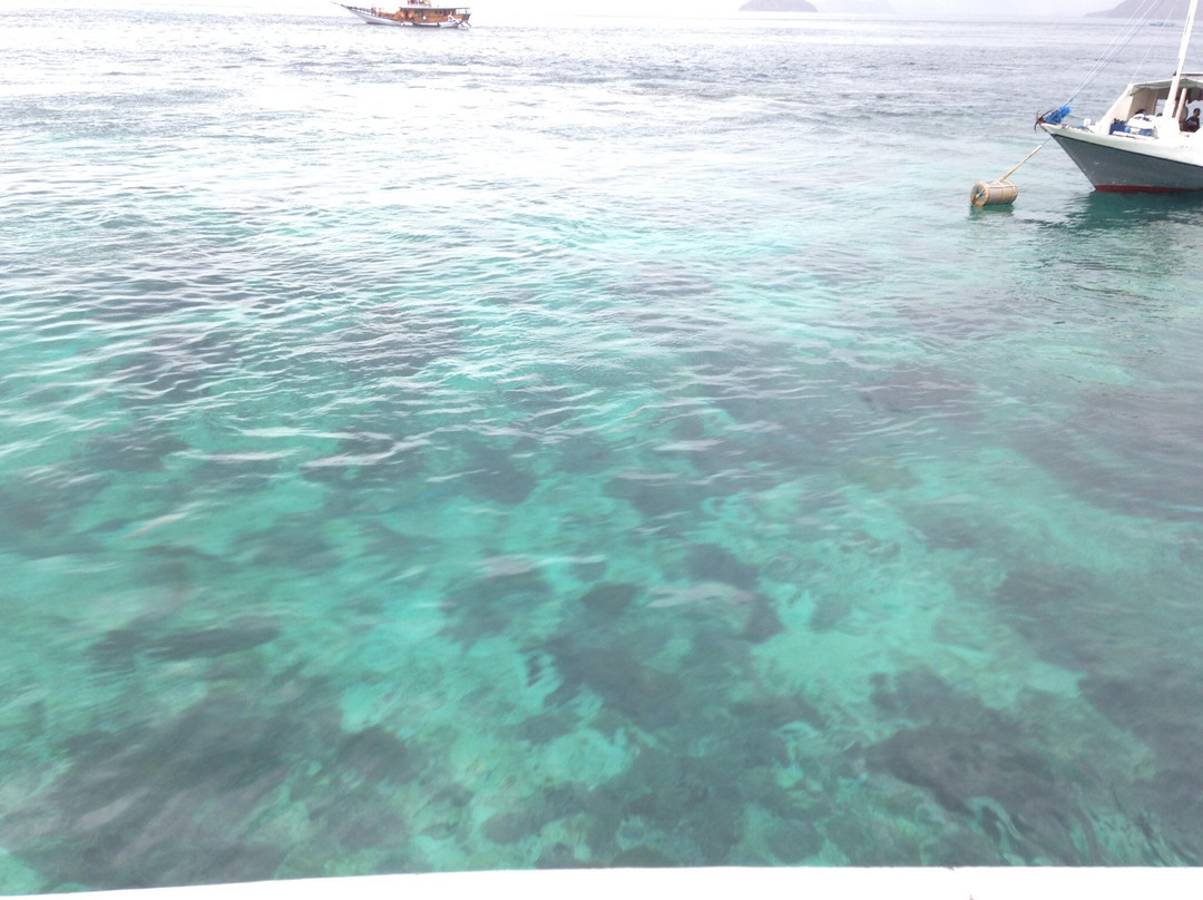 Pink Beach-科莫多必去景点