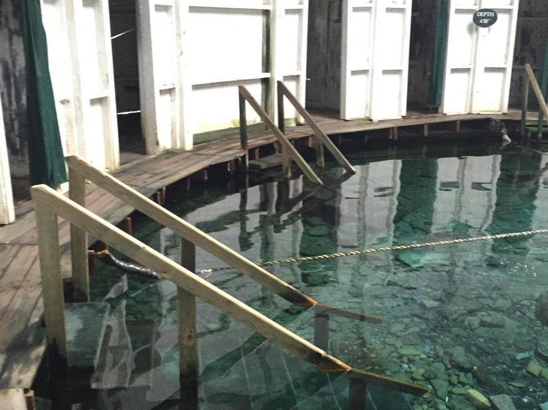 Warm Springs Pools景点图片