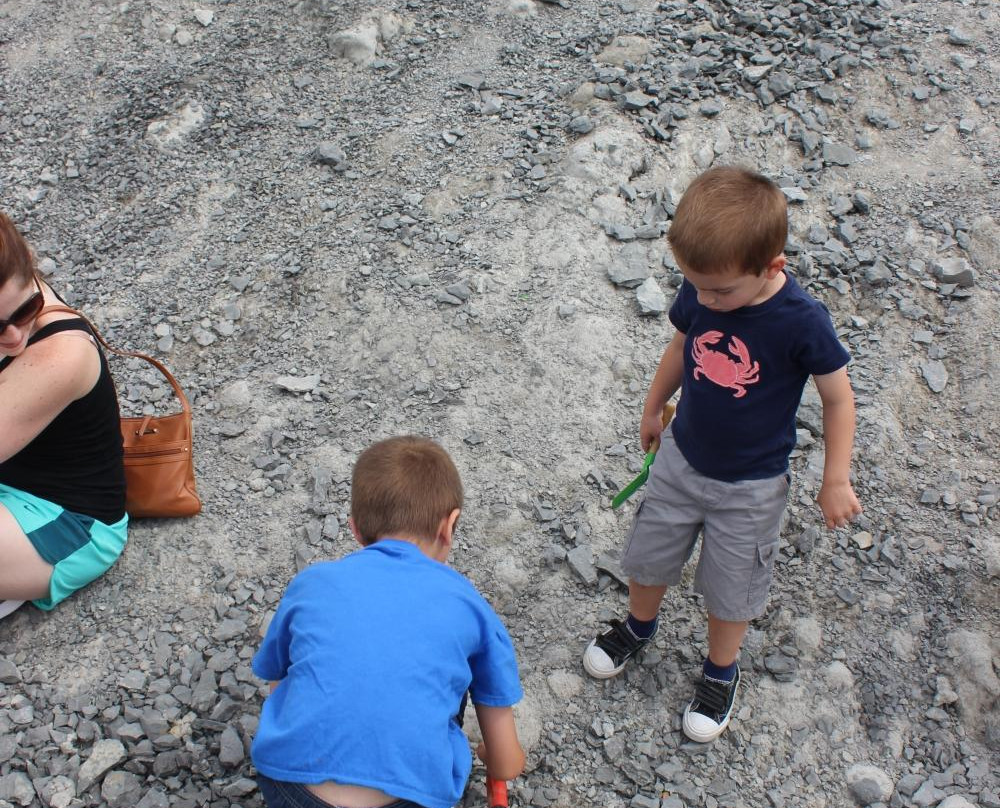 Penn Dixie Fossil Park & Nature Reserve景点图片
