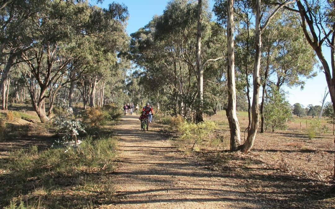 O'Keefe Rail Trail-Heathcote必去景点