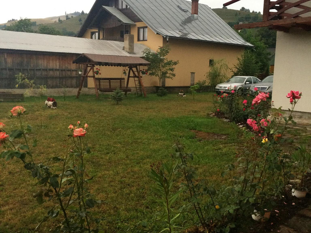 Pensiunea Dulce Bucovina