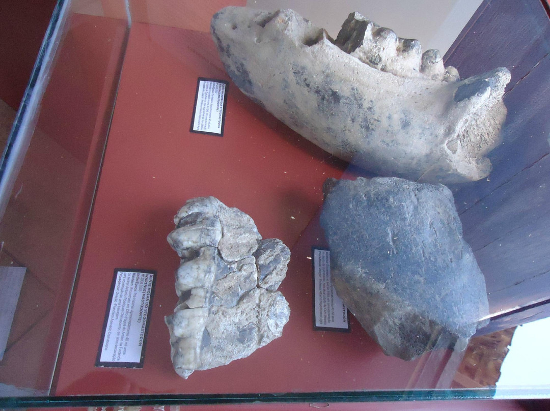 Darras Noya History and Art Museum-Santana Do Ipanema必去景点