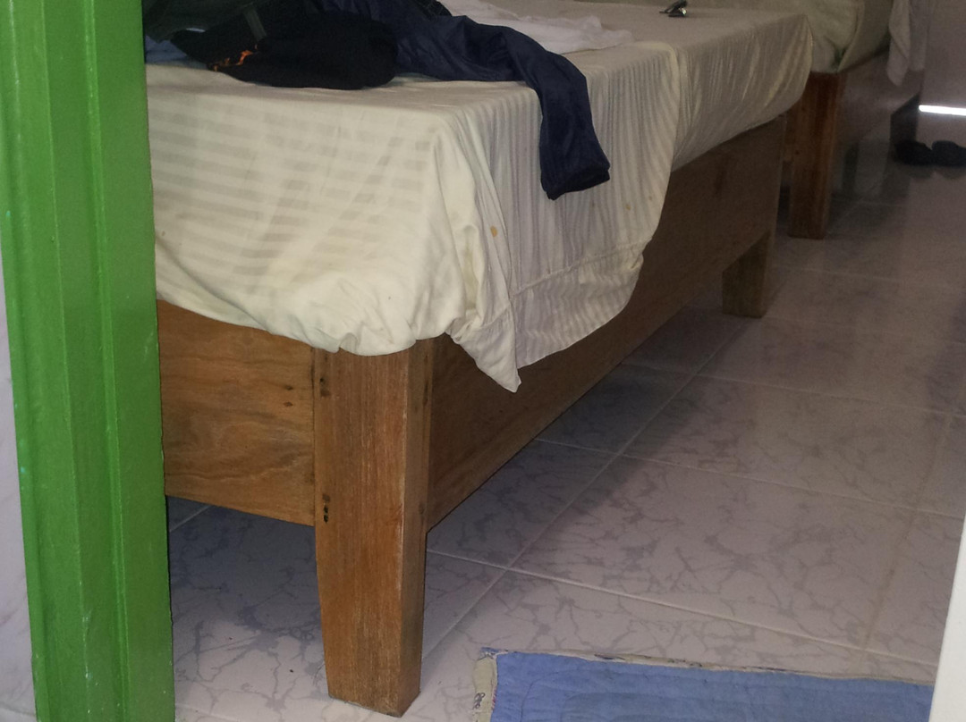 Shoreline Beach Resort主图