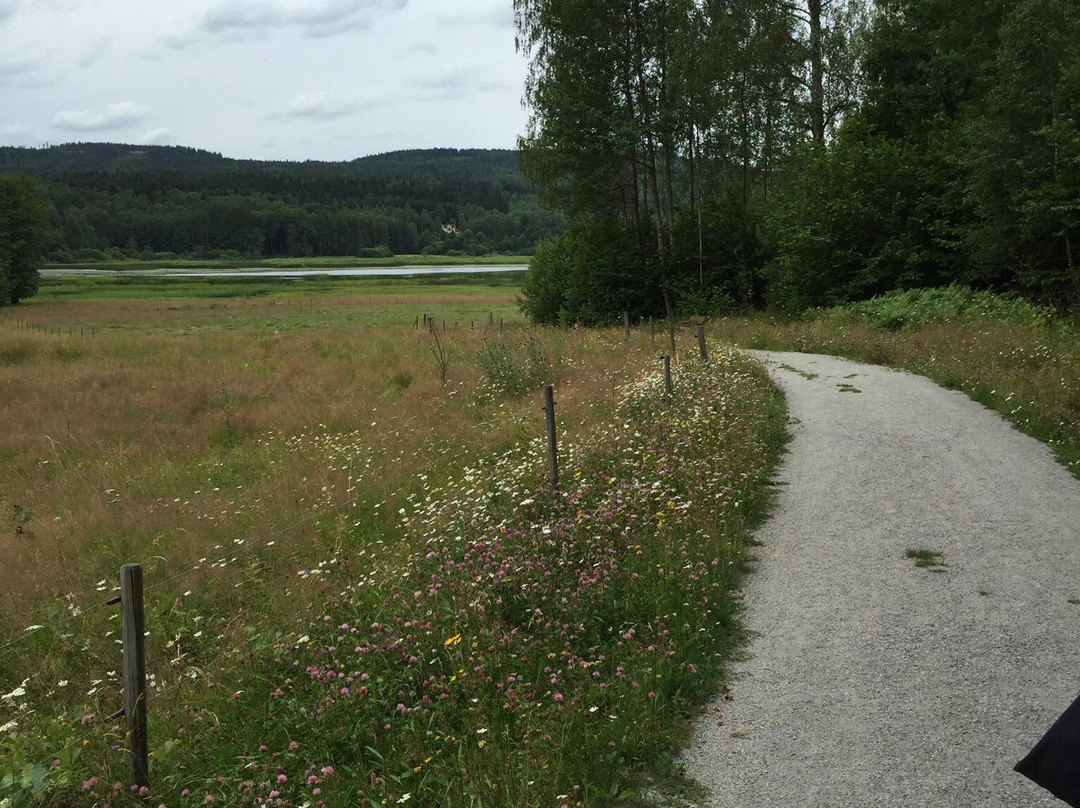 Bergs klätt Nature Reserve-Arvika必去景点