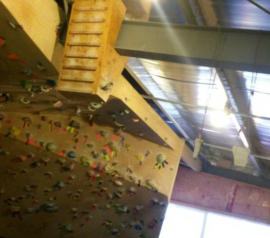 Dogtooth Climbing Gym-戈尔登必去景点
