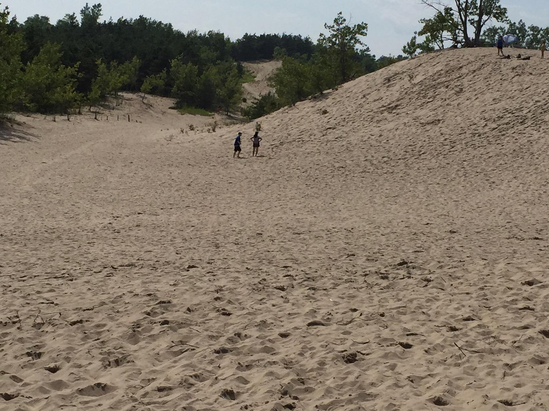 Dunes Beach景点图片