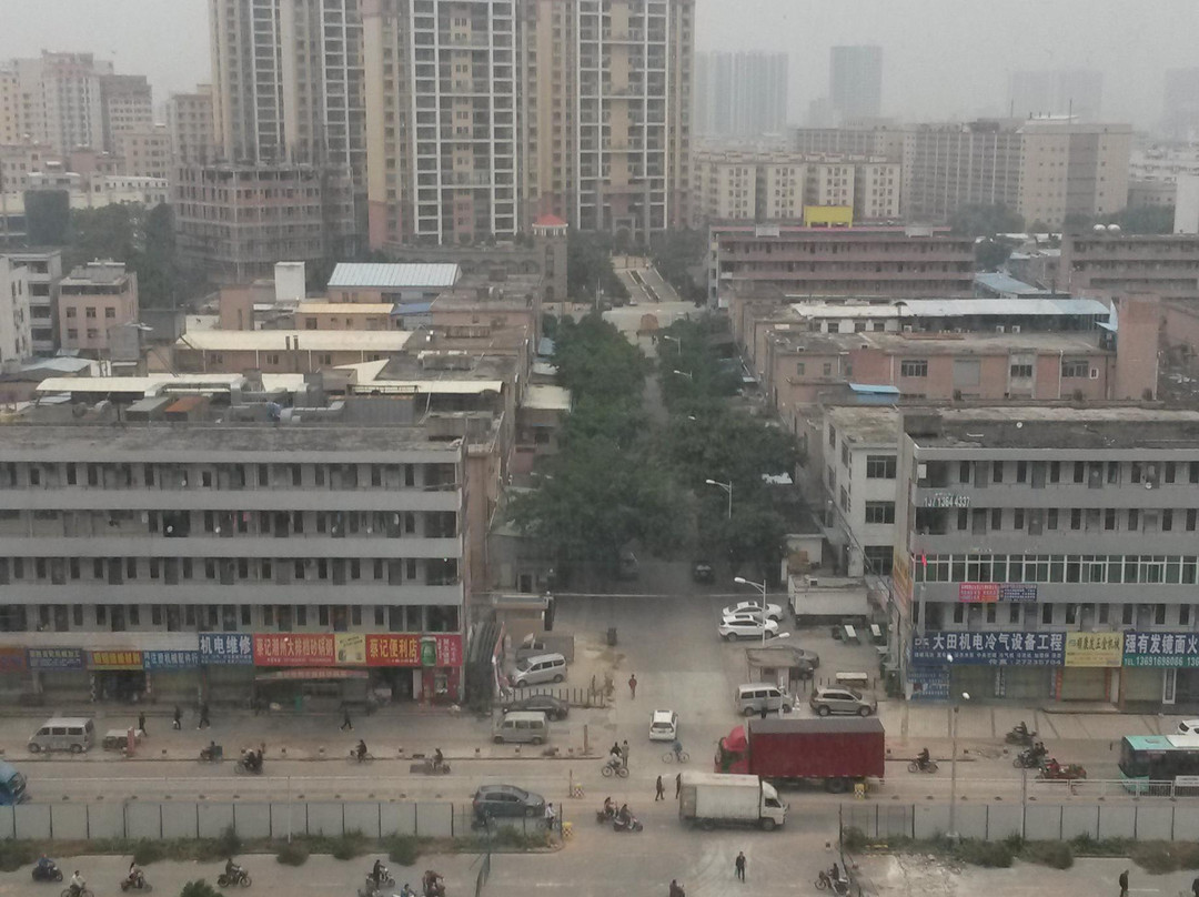 深圳维也纳酒店国际店主图