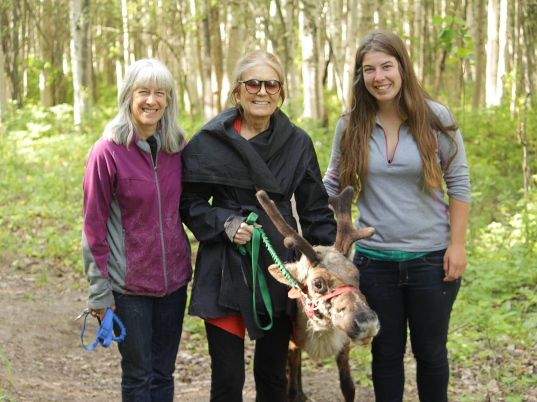 驯鹿牧场-null必去景点