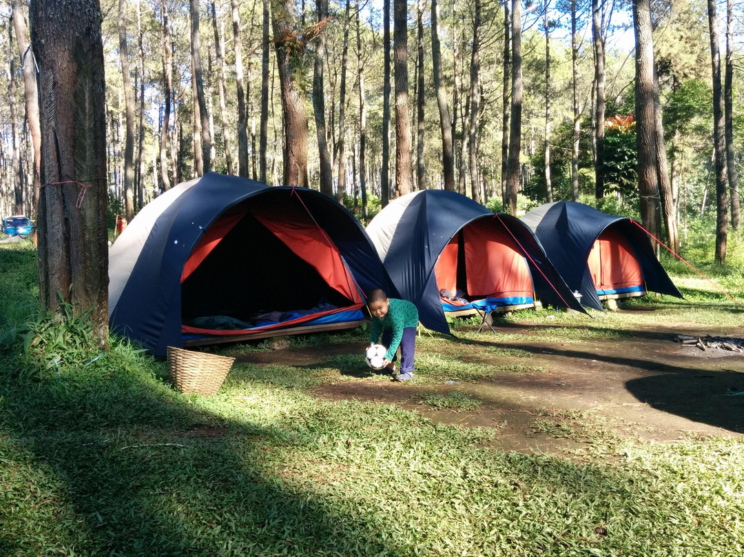 Grafika Cikole Outbound Area景点图片