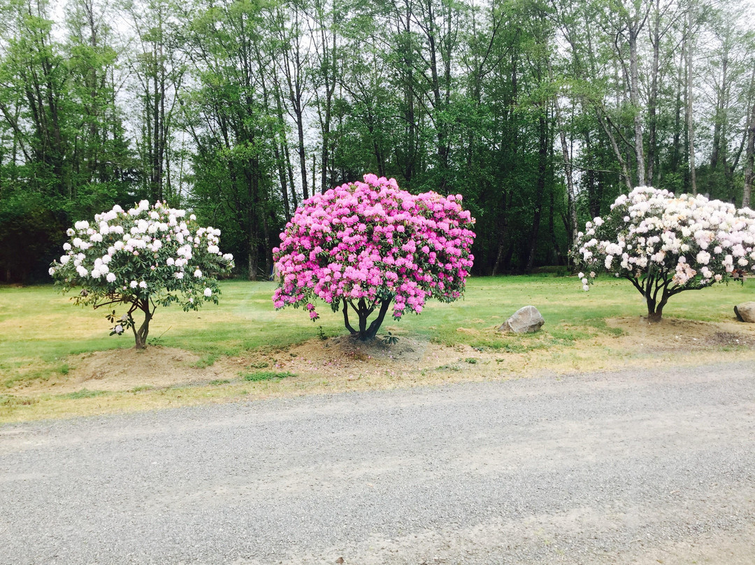 Pacific Campground and RV Park