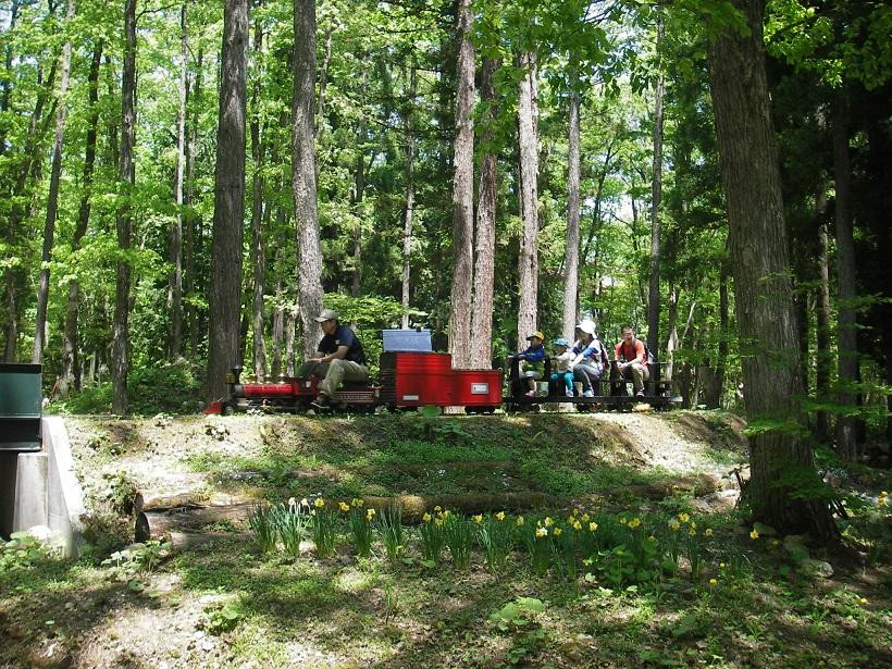 Hakuba Mini Train Park景点图片