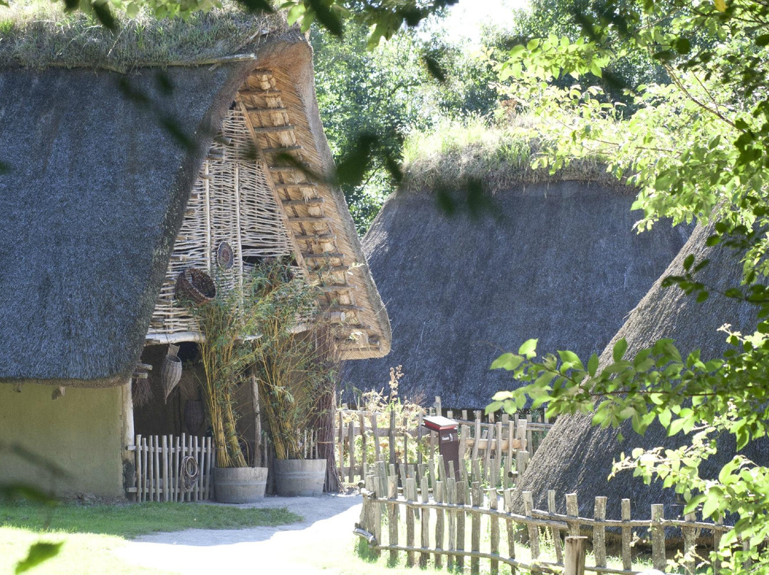 Le Village Gaulois, L'Archeosite景点图片