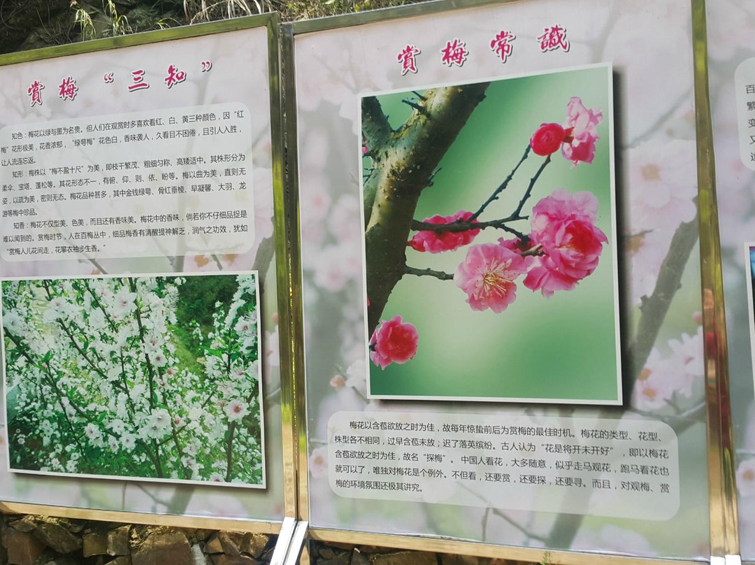 南雄梅关古道-南雄市必去景点