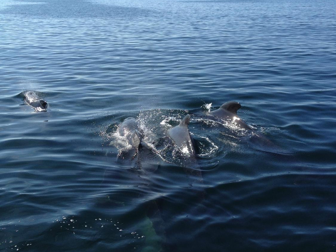 Eagle Eye Outfitters-Inverness必去景点