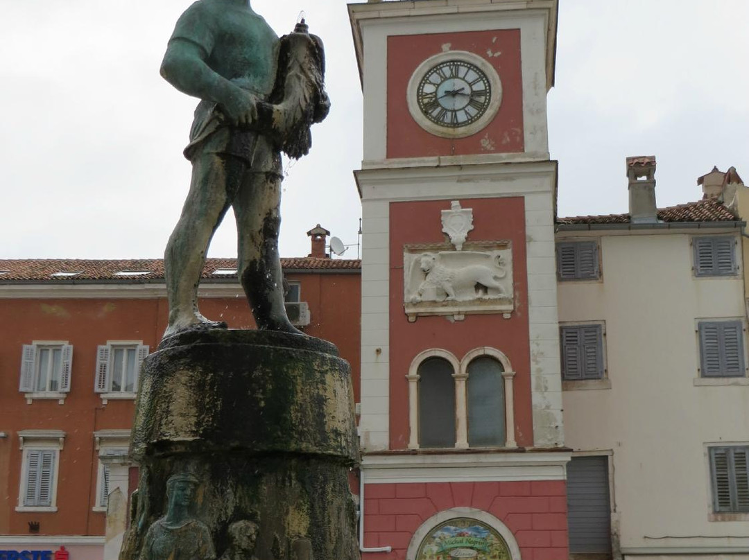 Fountain on Main Square-罗维尼必去景点
