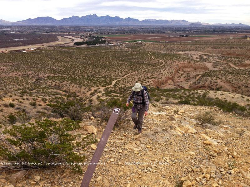 Prehistoric Trackways National Monument景点图片