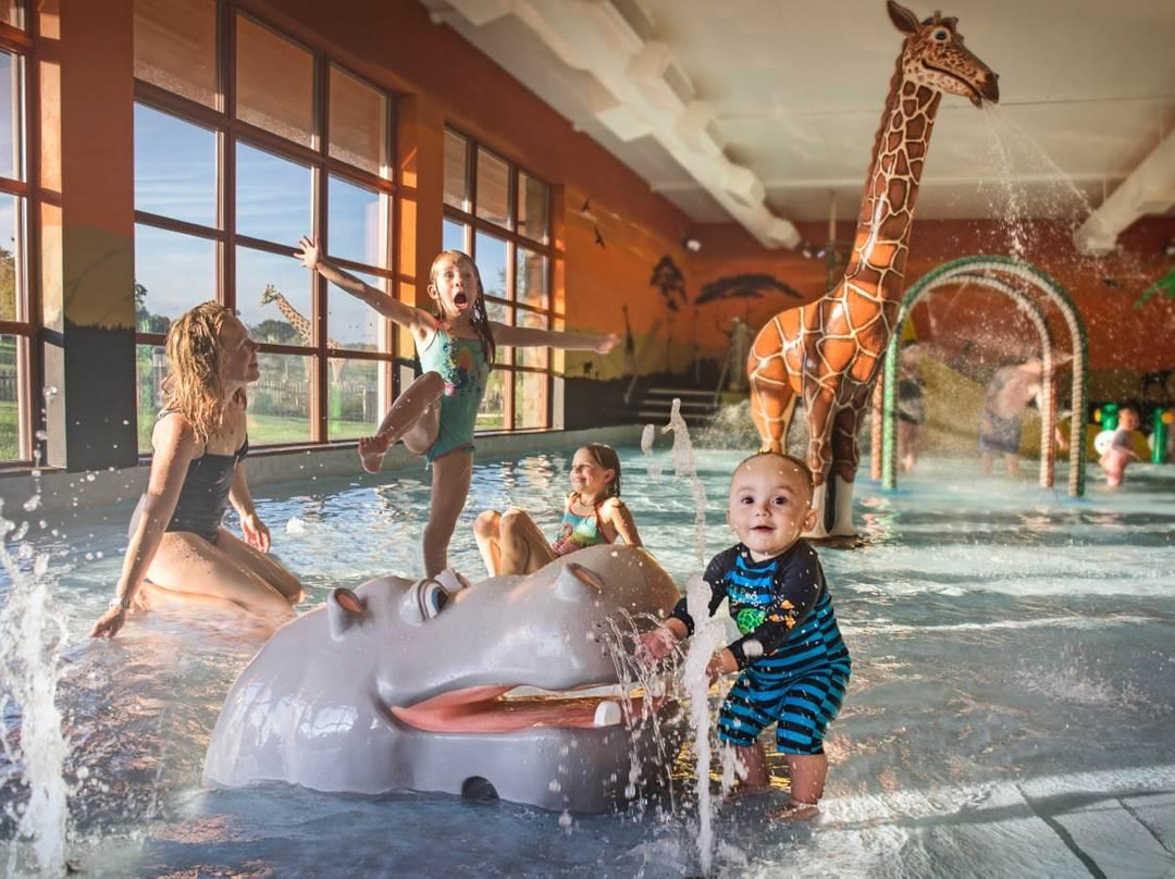 Savannah Splash Pool & Gym景点图片