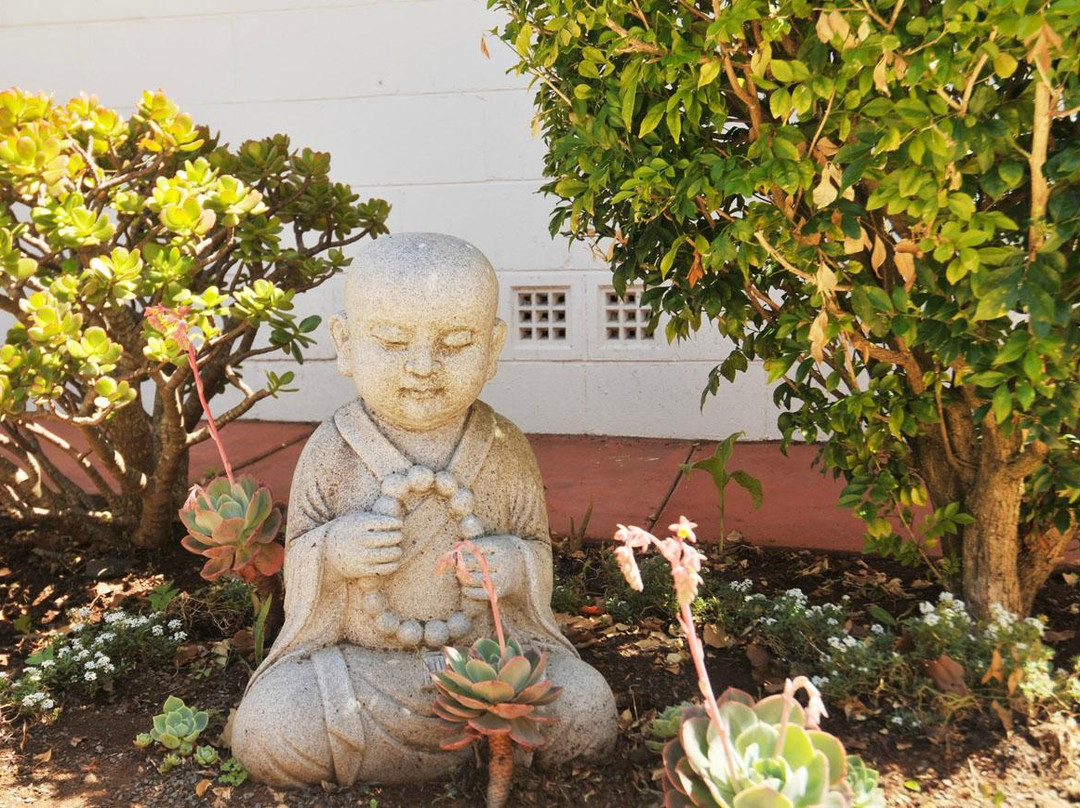 Highfields酒店住宿-Pure Land Guest House