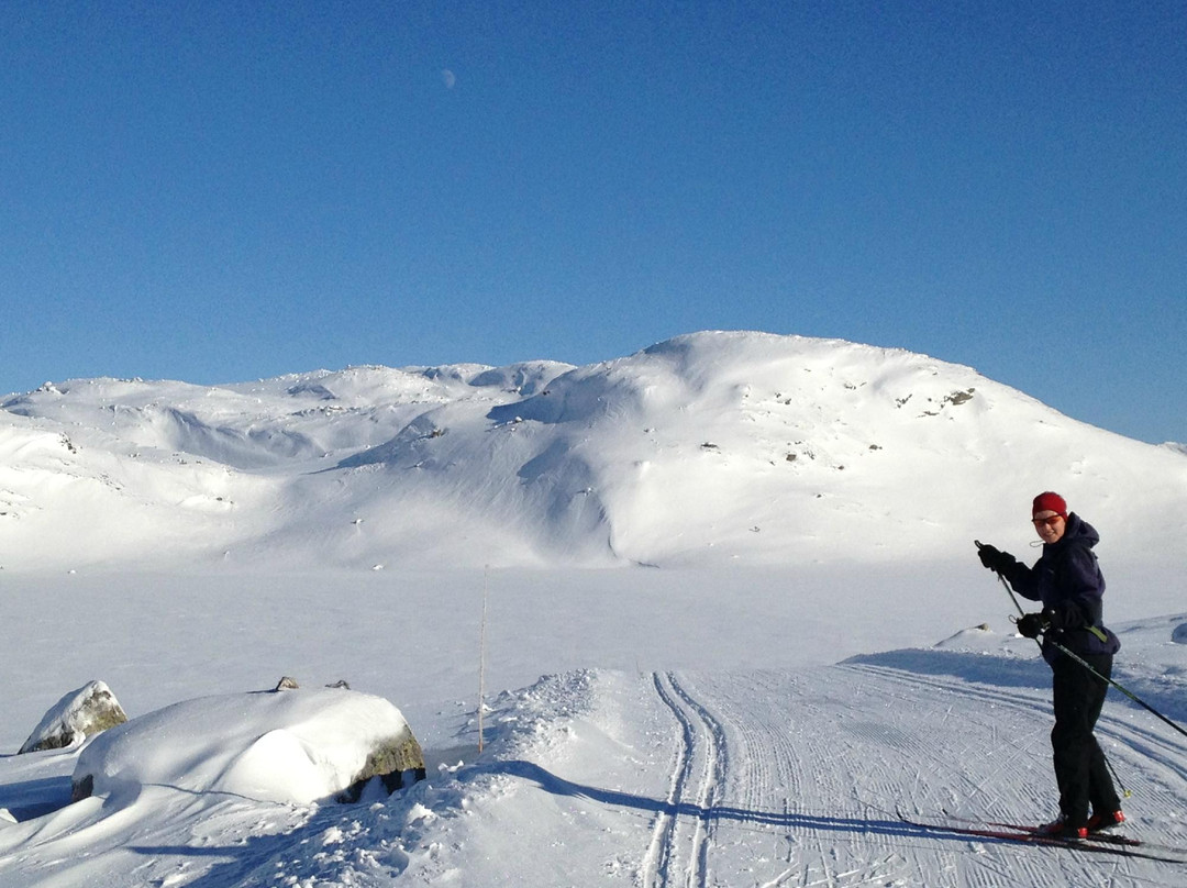 Ljosland Skisenter景点图片