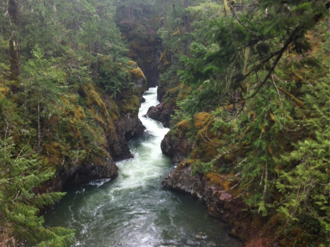 Little Qualicum Falls Provincial Park景点图片
