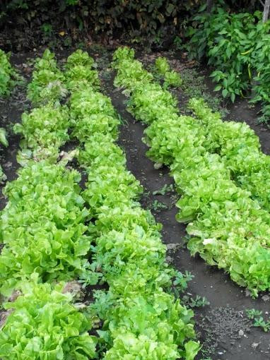 Azienda Agricola Rumma-Camposano必去景点