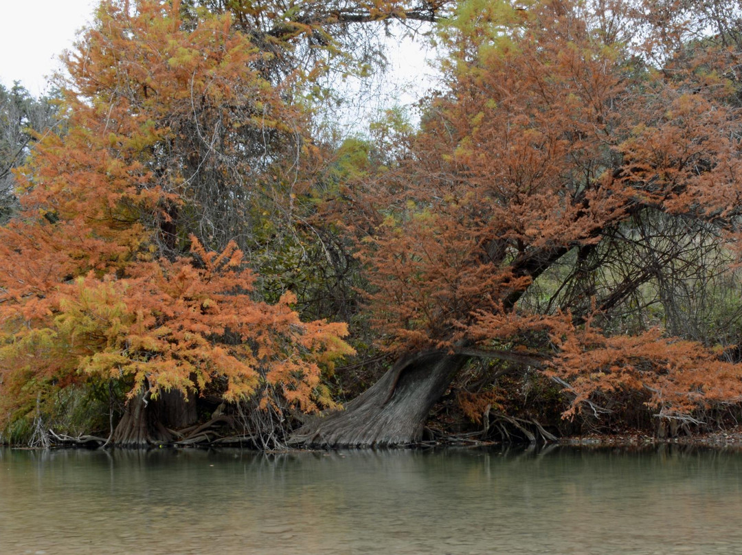 Kreutzberg Canyon Natural Area-Boerne必去景点