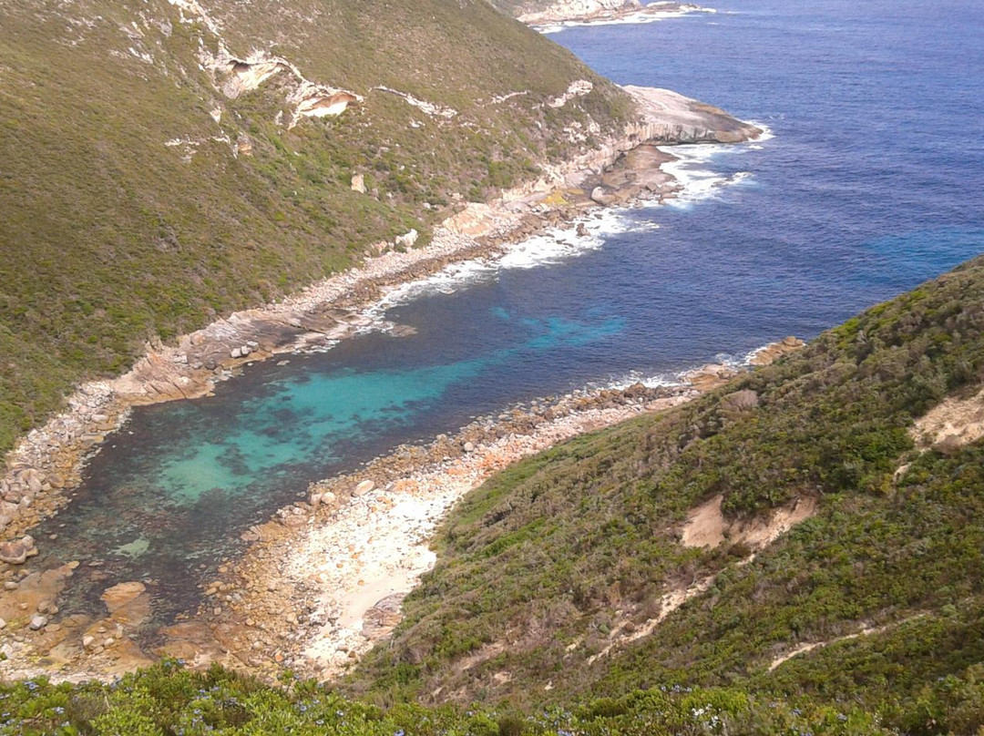 Jimmy Newells Harbour-奥尔巴尼必去景点