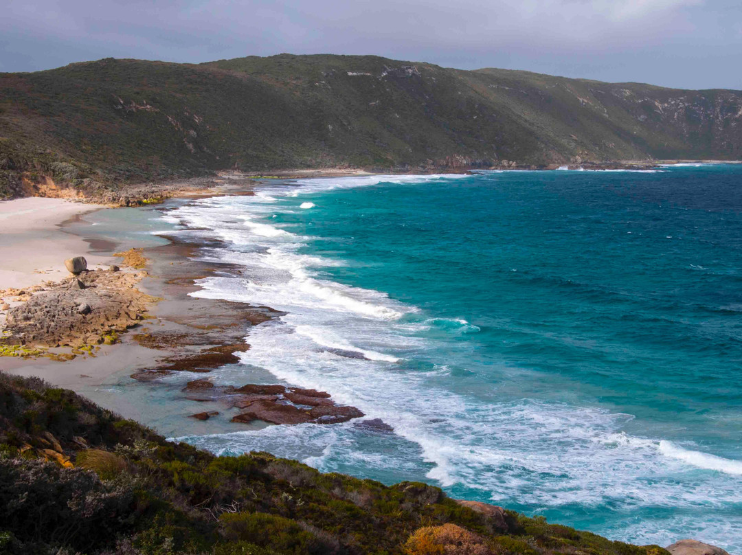 Walpole-Nornalup National Park景点图片