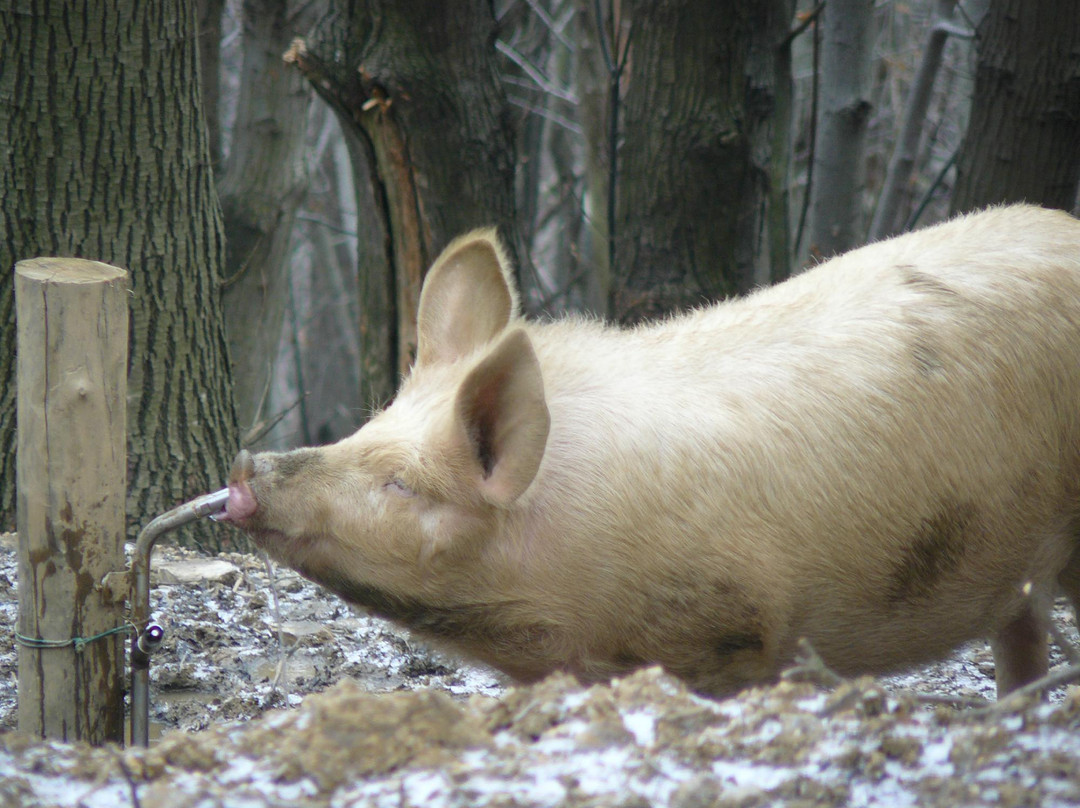 Nonna Carli - Azienda Agricola del Passo del Turchino-热那亚必去景点