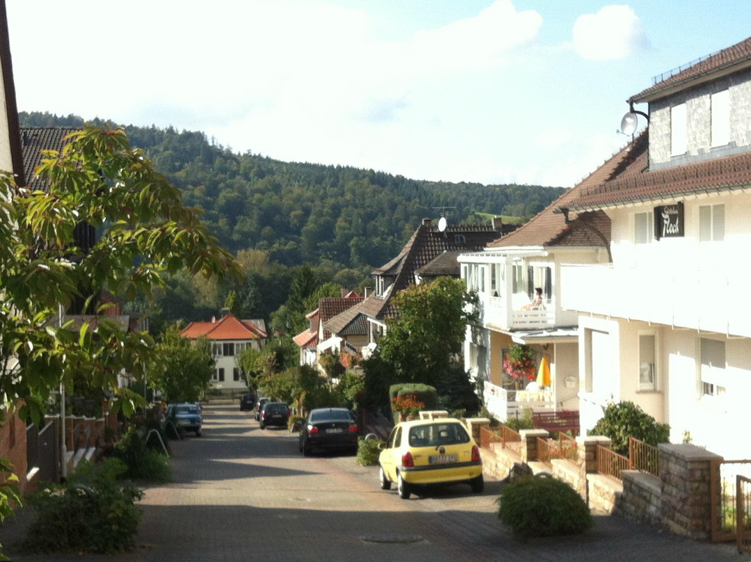 Hotel Schlössmann主图