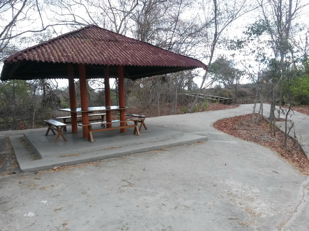 Valley of the Dinosaurs-Sousa必去景点