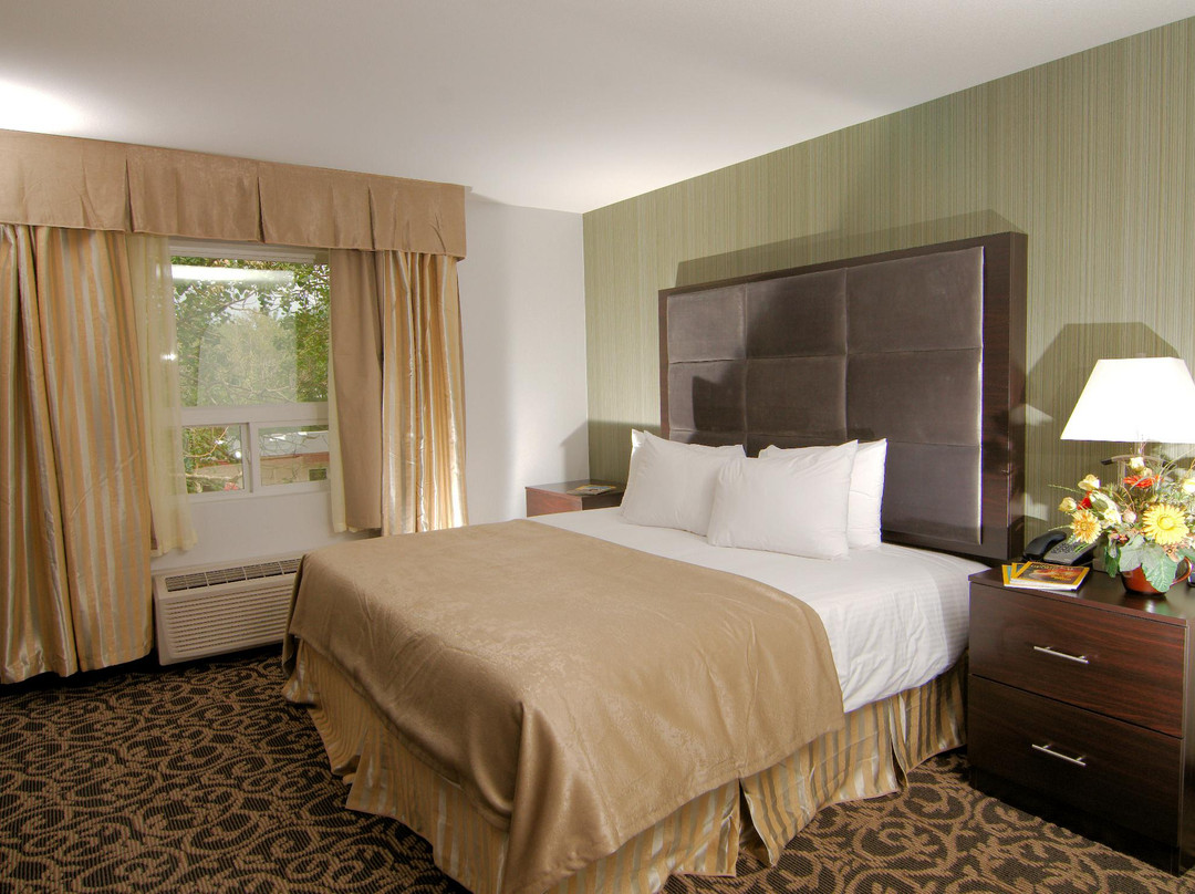 Paradise Inn & Suites Redwater主图