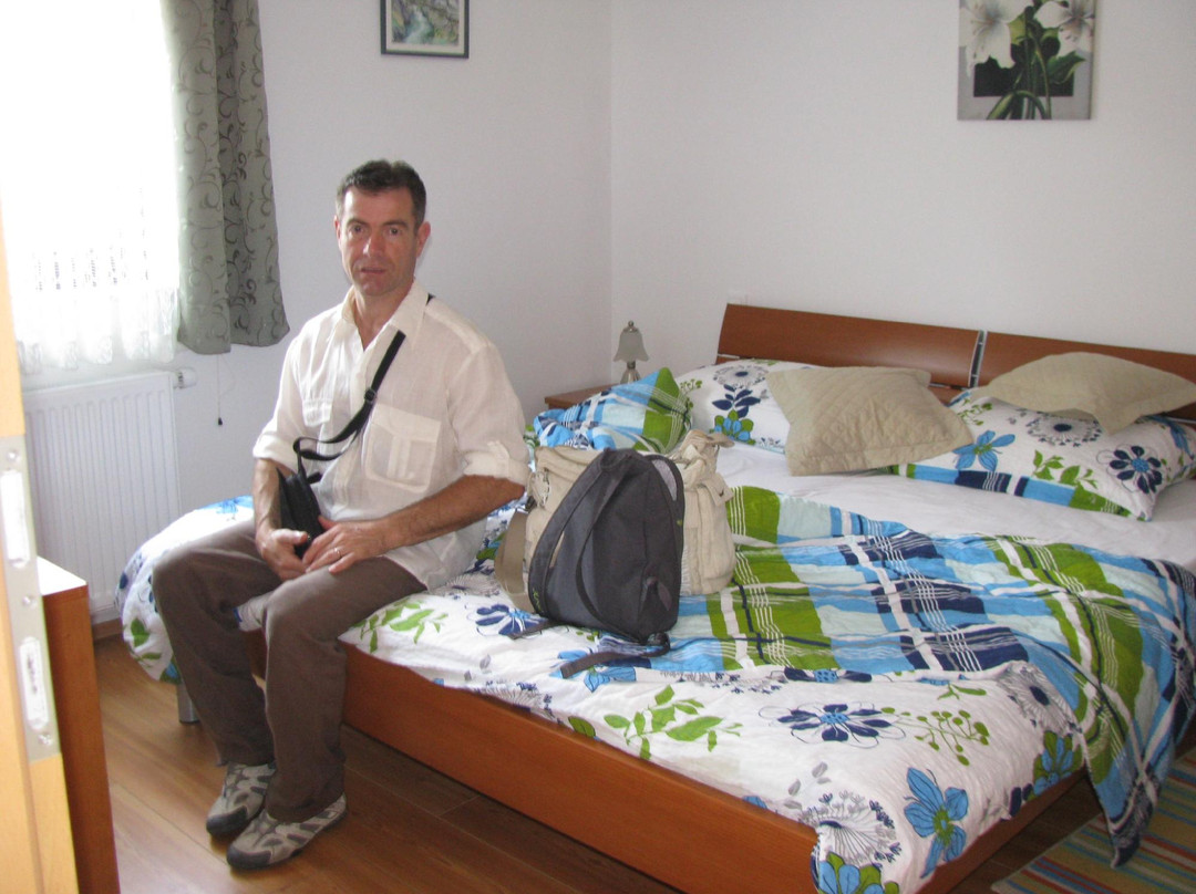Apartments Tavcar主图
