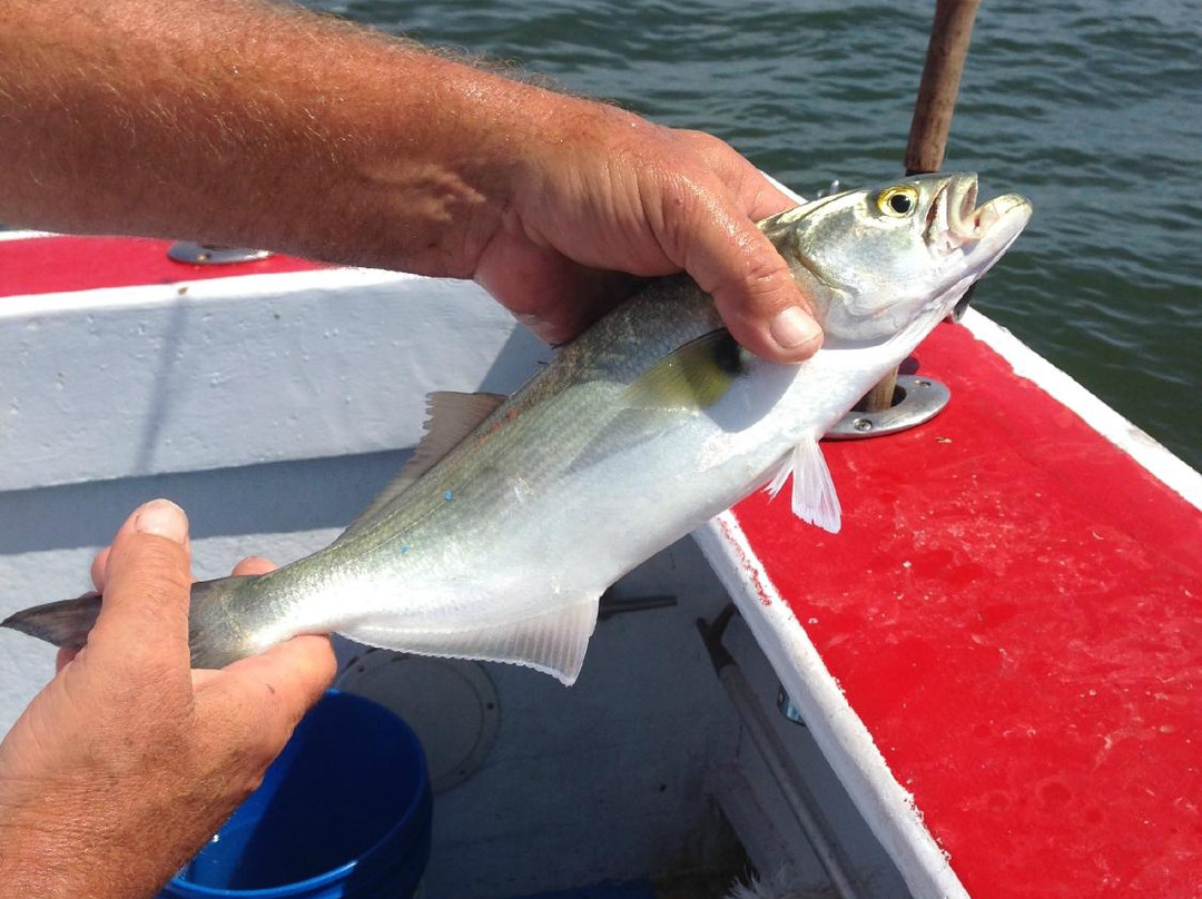 Martha Marie Fishing Charters-刘易斯必去景点