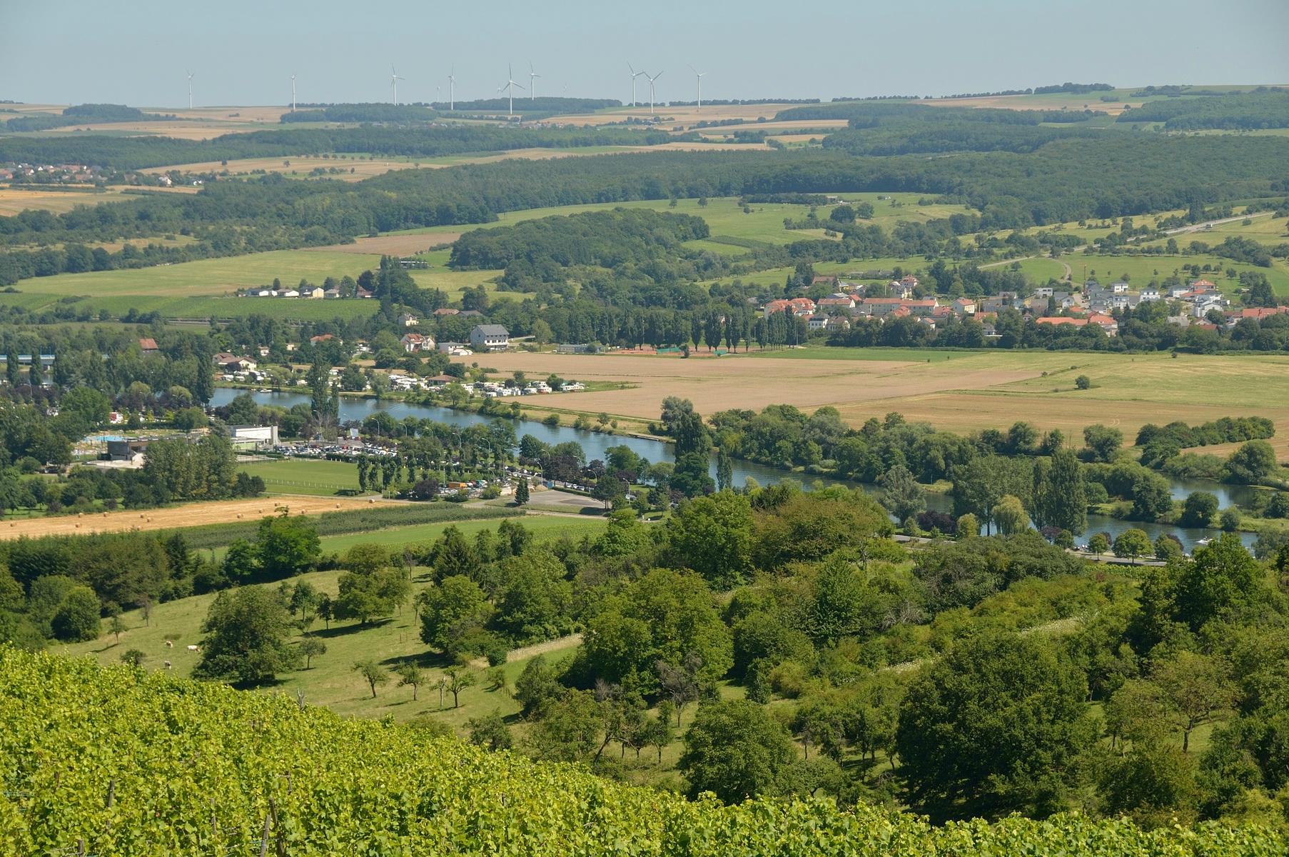 Weingut Sonenbuerg-酒店景观