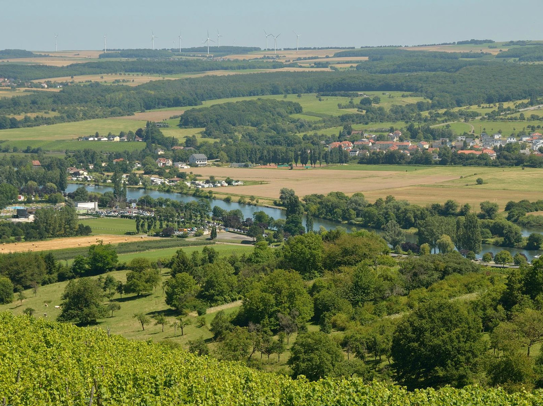 Weingut Sonenbuerg主图
