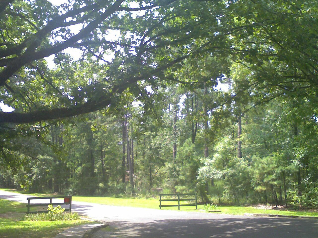 Lake Bistineau State Park景点图片
