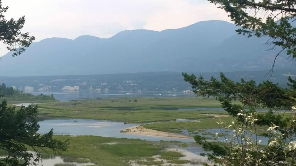 Columbia Lake Provincial Park景点图片