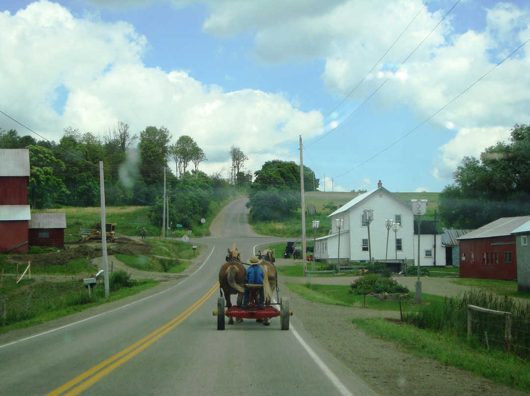 New York Amish Trail-Randolph必去景点