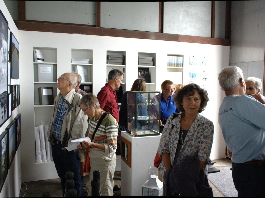 Læsø Kunsthal景点图片
