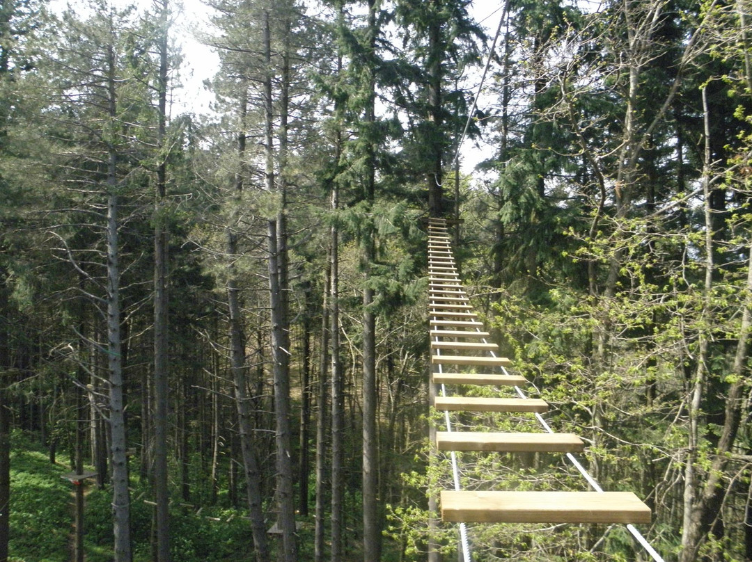 Parco Avventura Sospeso nel Verde景点图片