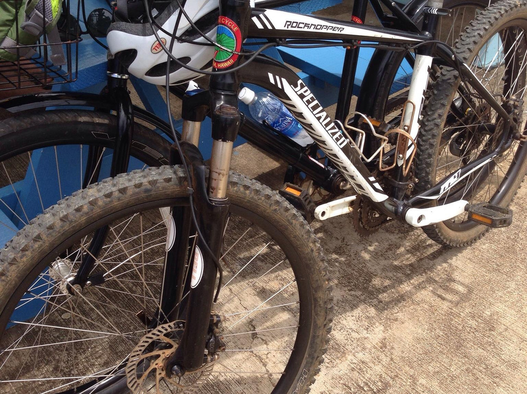 Kauai Cycle-卡帕阿必去景点