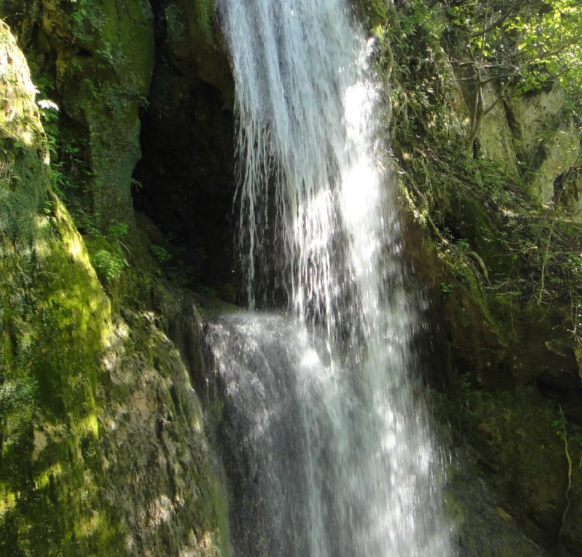 Natural Monument Ripaljka景点图片