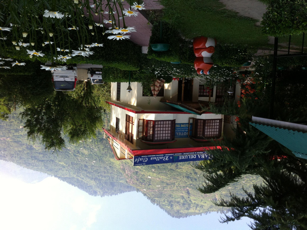 Hotel Baba Deluxe & Ballu's Cafe主图