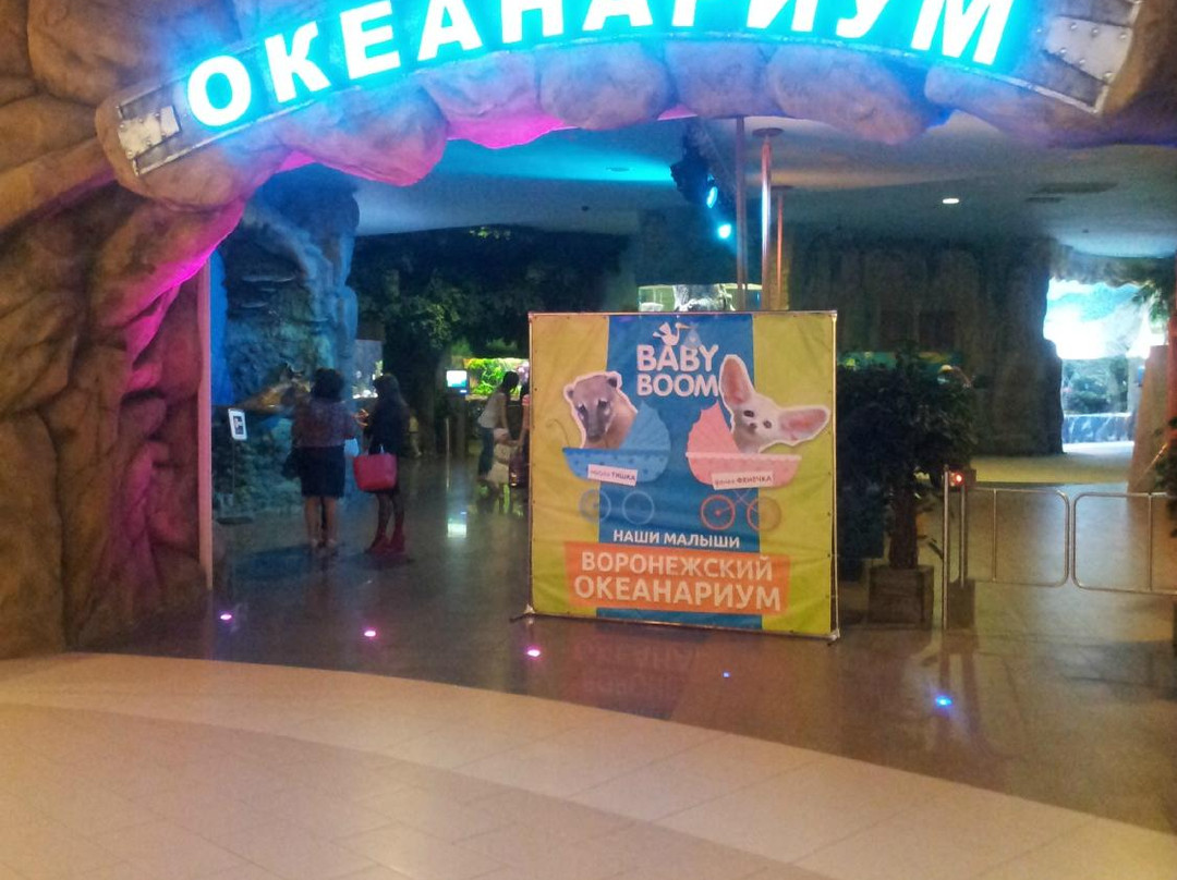 Voronezh Oceanarium景点图片