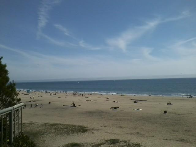 Santa Cruz Museum of Natural History-圣克鲁斯必去景点