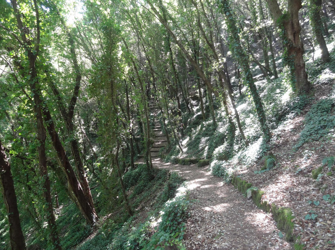 Bosco Della Maddalena景点图片