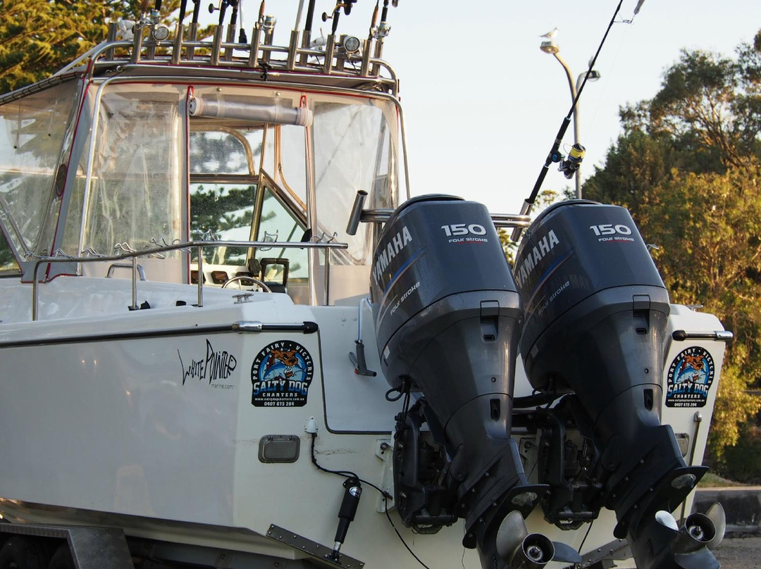 Salty Dog Charters-仙女港必去景点