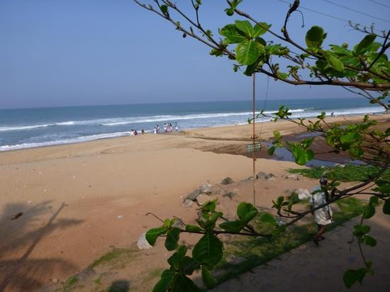 Varkala Beach-瓦卡拉必去景点